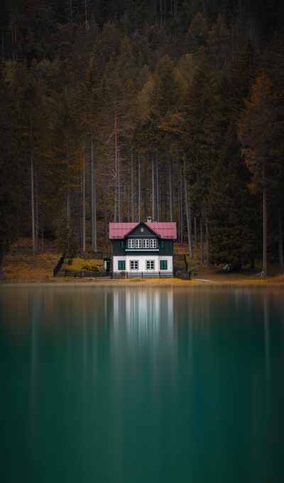 白色和棕色的房子靠近湖边，白天绿树成荫